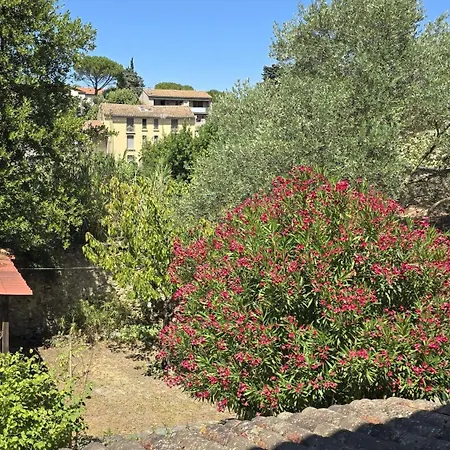 Maison Au Pied De La Cité Médiévale Сasa de vacaciones Carcasona